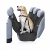 Schondecken für Hundetransport